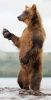 ours